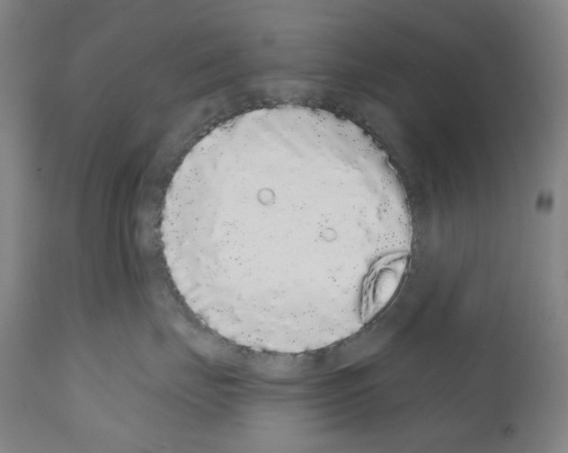 X0000110960671200907311107