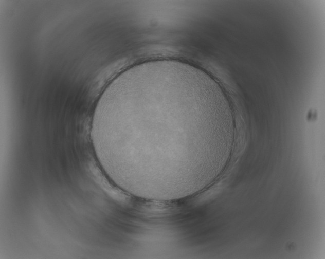 X0000110960672200907311107
