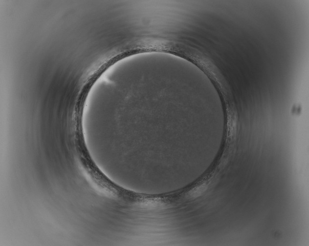 X0000110960674200907311107