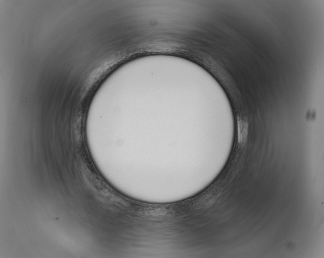 X0000110960675200907311107