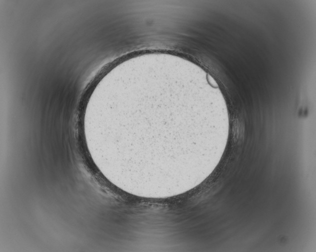 X0000110960676200907311107
