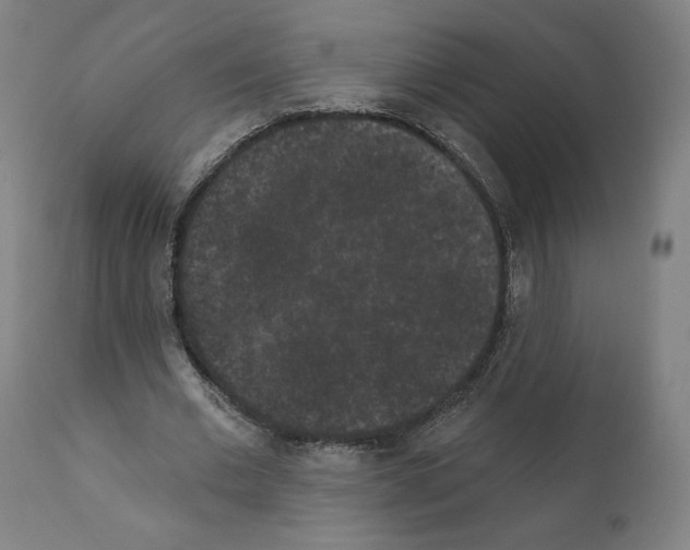 X0000110960677200907311107