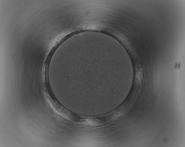 X0000110960678200907311107
