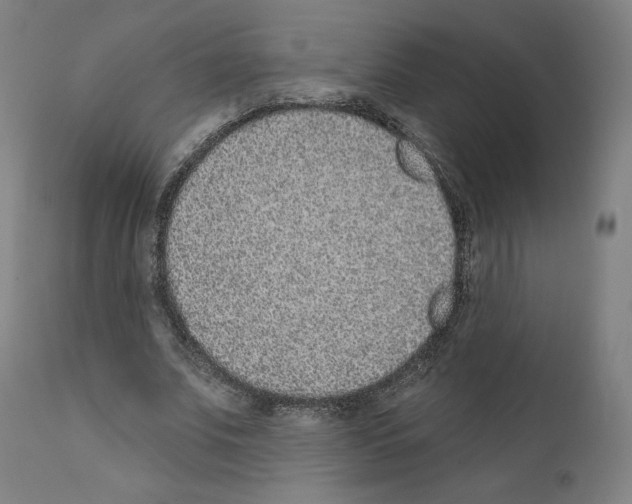 X0000110960679200907311107