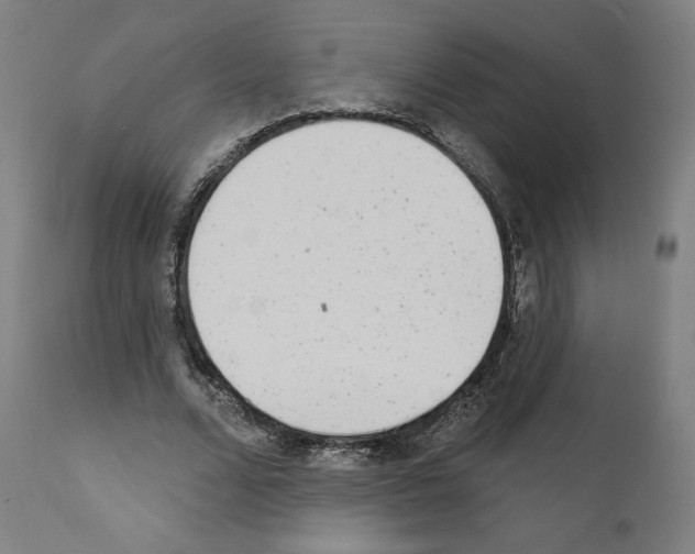 X0000110960680200907311107