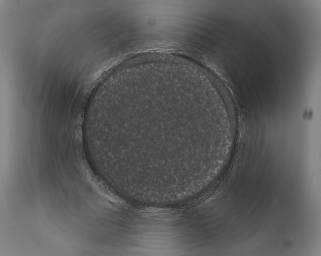 X0000110960681200907311107