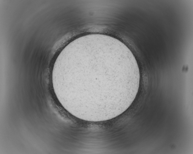 X0000110960682200907311107