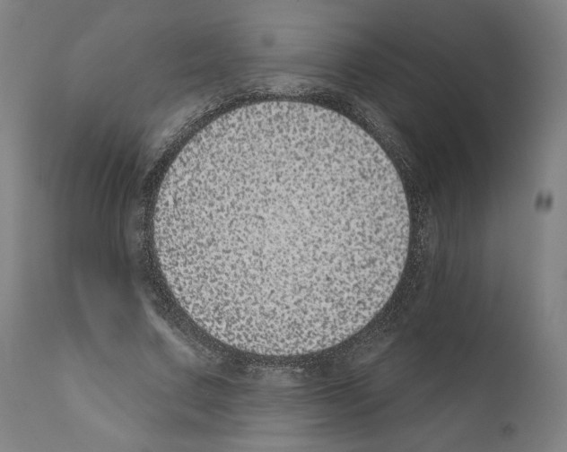 X0000110960683200907311107