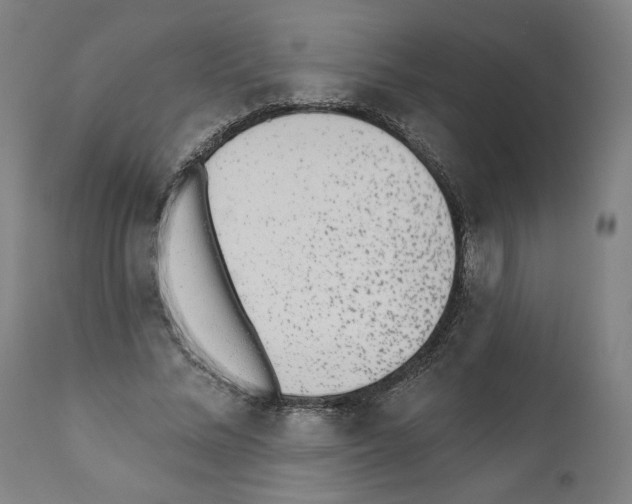 X0000110960684200907311107