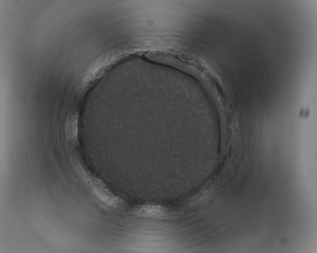 X0000110960685200907311107