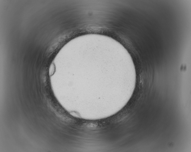 X0000110960687200907311107