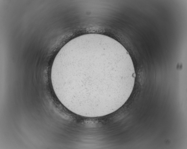 X0000110960690200907311107