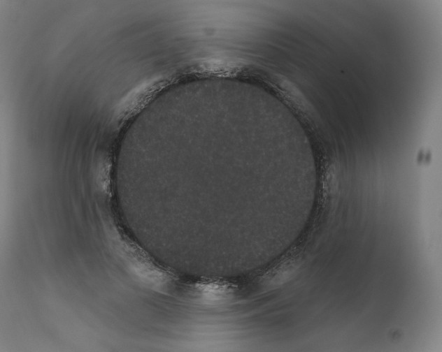 X0000110960693200907311107