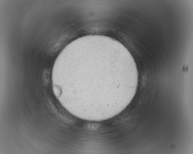 X0000110960695200907311106