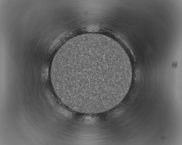 X0000110960697200907311106