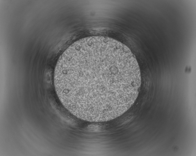 X0000110960699200907311106