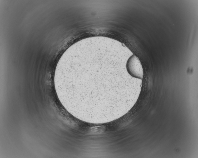 X0000110960700200907311106