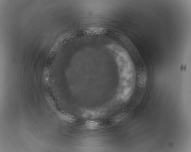 X0000110960701200907311106