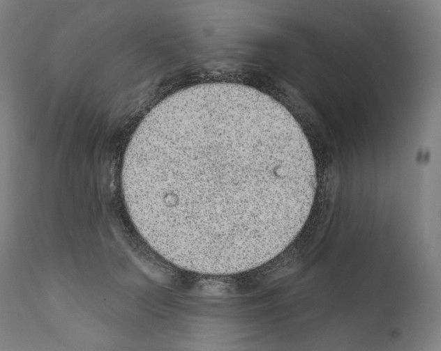 X0000110960703200907311106