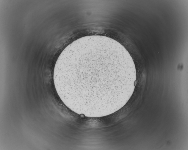 X0000110960704200907311106