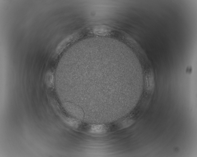 X0000110960705200907311106