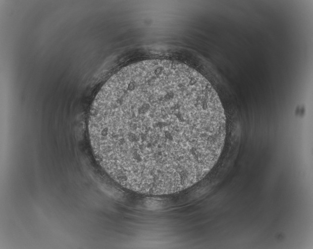 X0000110960707200907311106