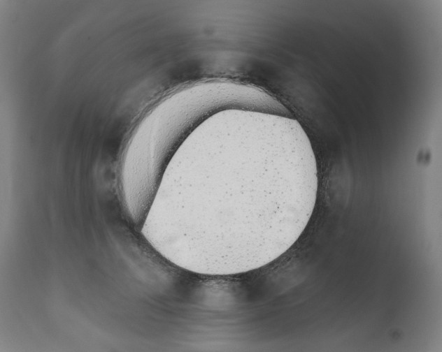 X0000110960708200907311106