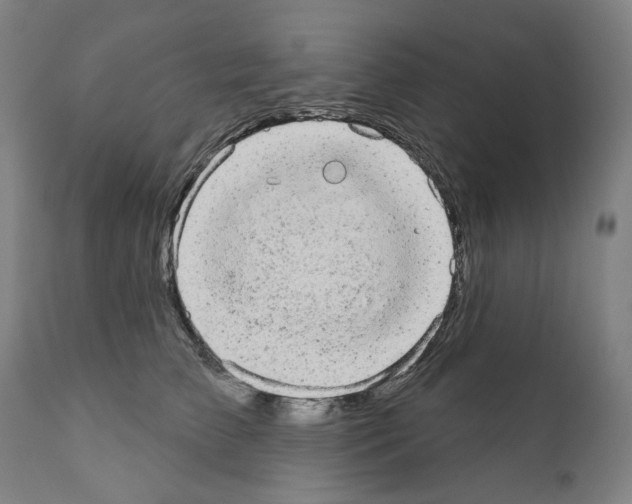 X0000110960709200907311106