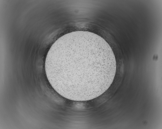 X0000110960710200907311106