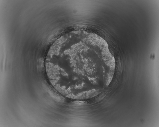X0000110960711200907311106