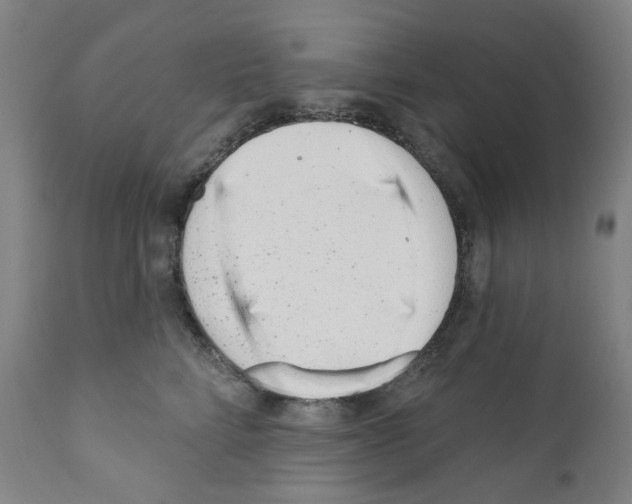 X0000110960712200907311106