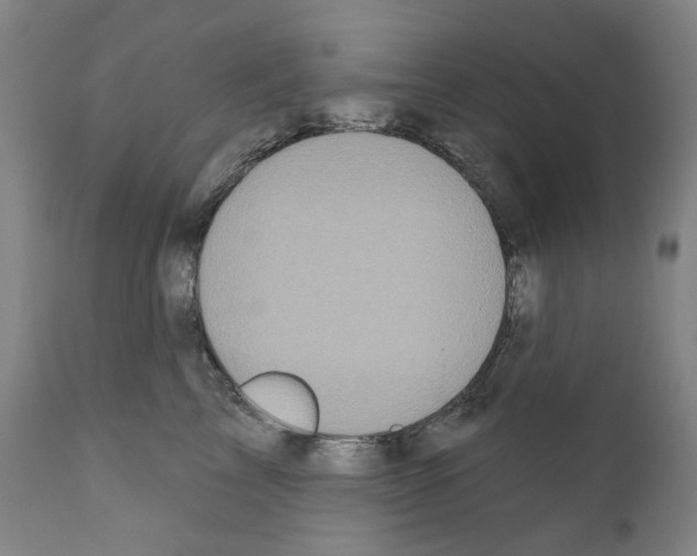 X0000110960713200907311106
