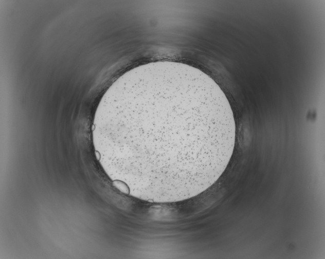 X0000110960714200907311106