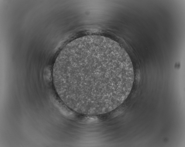 X0000110960715200907311106