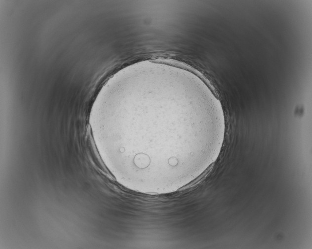 X0000110960716200907311106