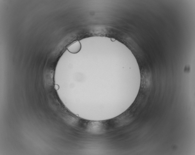 X0000110960717200907311106