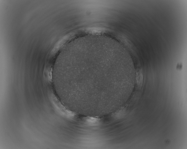 X0000110960718200907311106