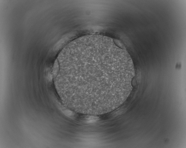 X0000110960719200907311106