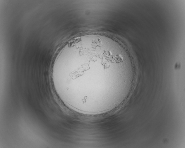 X0000110960720200907311106