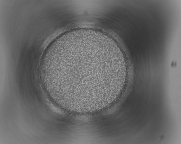 X0000110960721200907311105