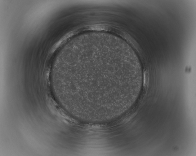 X0000110960723200907311105