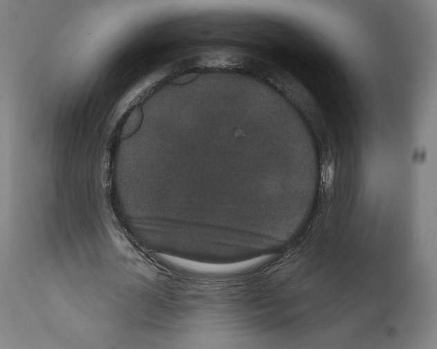X0000110960724200907311105
