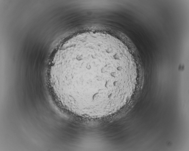 X0000110960725200907311105