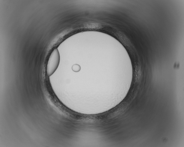X0000110960726200907311105