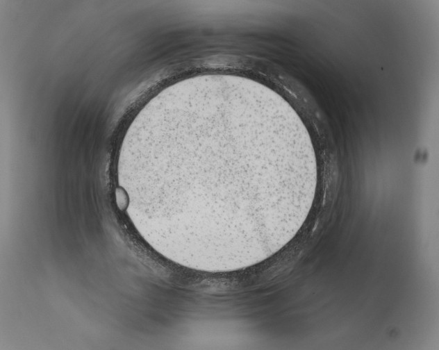 X0000110960727200907311105