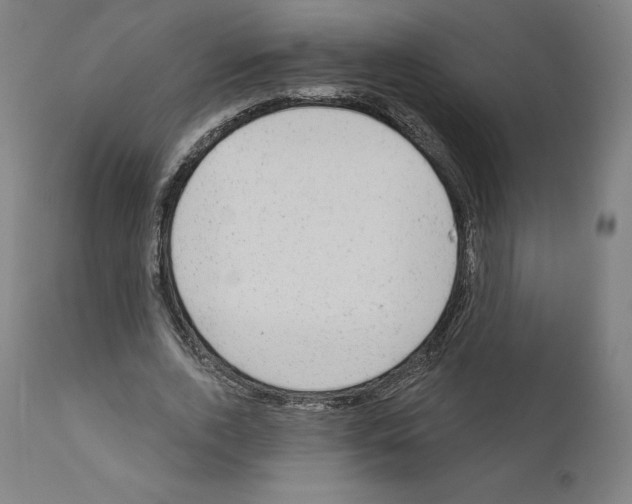 X0000110960728200907311105