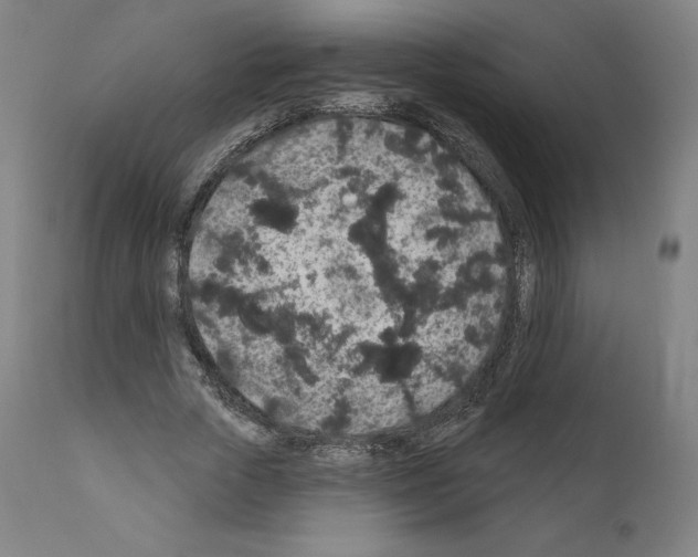 X0000110960729200907311105