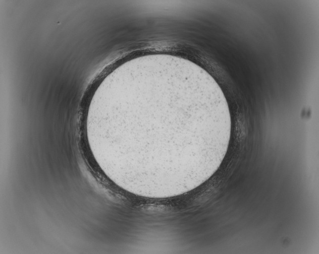 X0000110960730200907311105