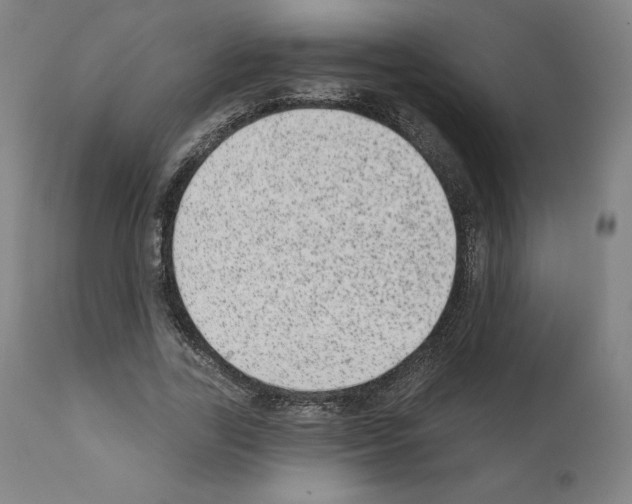 X0000110960731200907311105