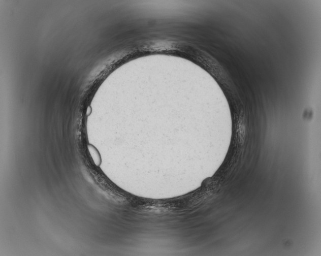 X0000110960732200907311105